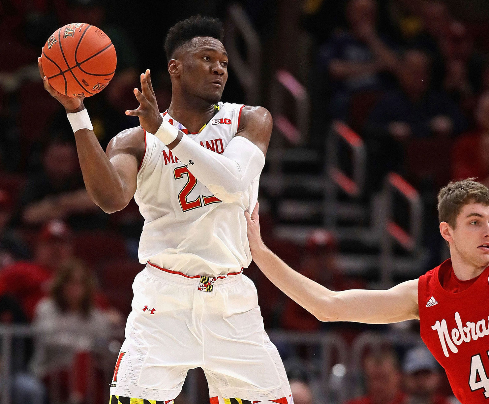 Maryland Terrapins